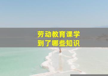 劳动教育课学到了哪些知识