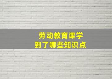 劳动教育课学到了哪些知识点