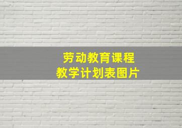 劳动教育课程教学计划表图片