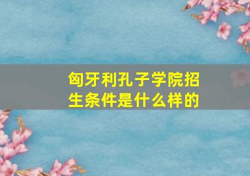 匈牙利孔子学院招生条件是什么样的