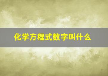 化学方程式数字叫什么