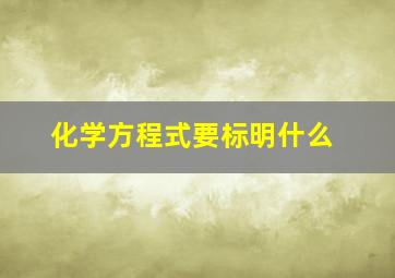 化学方程式要标明什么