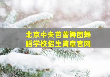 北京中央芭蕾舞团舞蹈学校招生简章官网