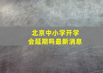 北京中小学开学会延期吗最新消息