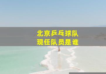 北京乒乓球队现任队员是谁