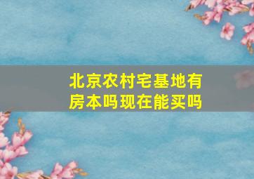 北京农村宅基地有房本吗现在能买吗