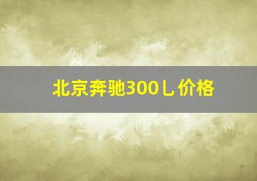 北京奔驰300乚价格