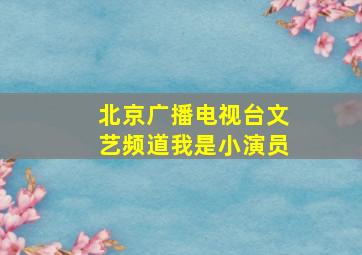 北京广播电视台文艺频道我是小演员