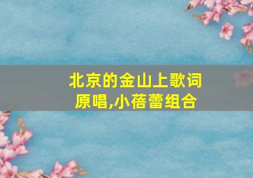 北京的金山上歌词原唱,小蓓蕾组合