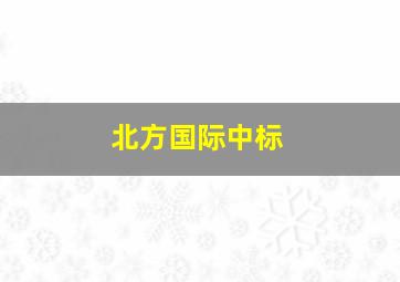 北方国际中标