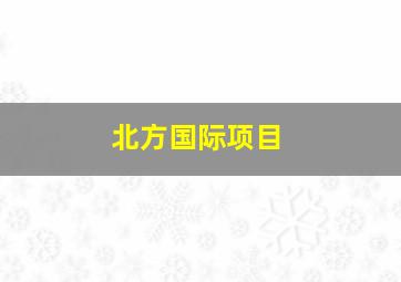 北方国际项目