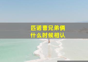 匹诺曹兄弟俩什么时候相认