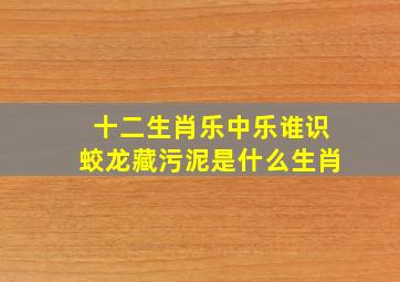 十二生肖乐中乐谁识蛟龙藏污泥是什么生肖