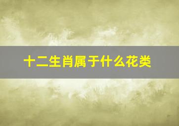 十二生肖属于什么花类