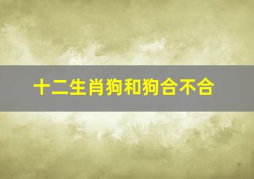 十二生肖狗和狗合不合