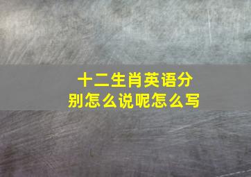 十二生肖英语分别怎么说呢怎么写