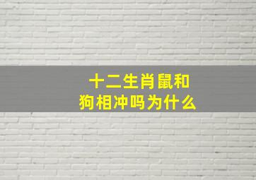 十二生肖鼠和狗相冲吗为什么