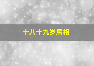 十八十九岁属相