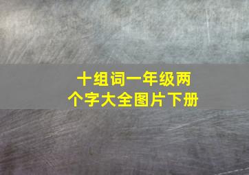 十组词一年级两个字大全图片下册