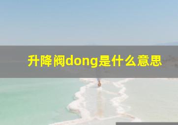 升降阀dong是什么意思