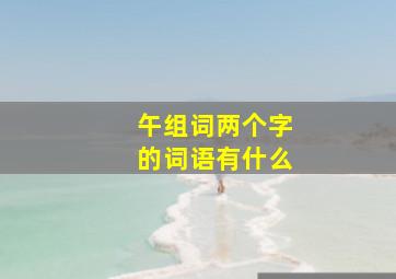 午组词两个字的词语有什么