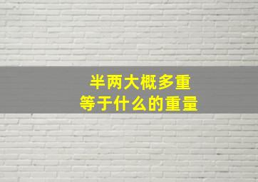 半两大概多重等于什么的重量