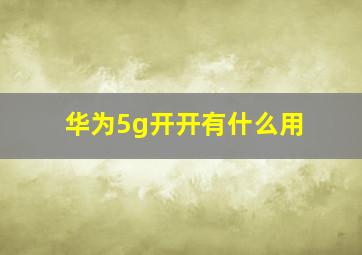 华为5g开开有什么用