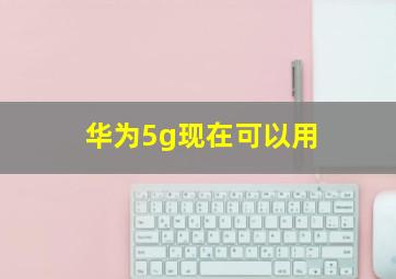 华为5g现在可以用