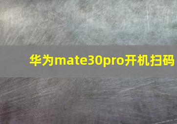 华为mate30pro开机扫码