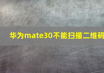 华为mate30不能扫描二维码