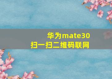 华为mate30扫一扫二维码联网