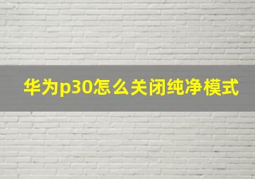 华为p30怎么关闭纯净模式