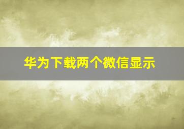 华为下载两个微信显示