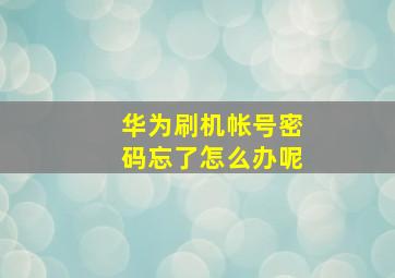 华为刷机帐号密码忘了怎么办呢