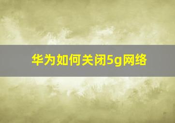 华为如何关闭5g网络