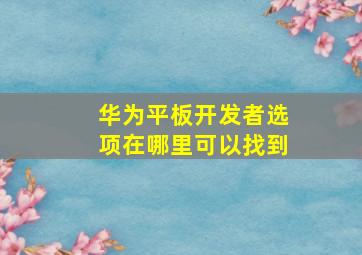 华为平板开发者选项在哪里可以找到