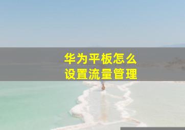 华为平板怎么设置流量管理