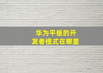 华为平板的开发者模式在哪里