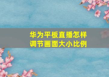 华为平板直播怎样调节画面大小比例