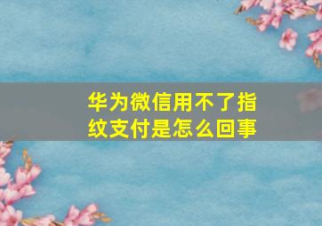 华为微信用不了指纹支付是怎么回事