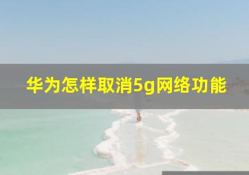 华为怎样取消5g网络功能