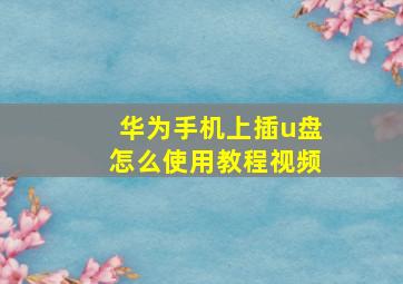 华为手机上插u盘怎么使用教程视频