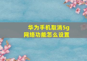 华为手机取消5g网络功能怎么设置