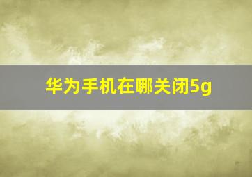 华为手机在哪关闭5g