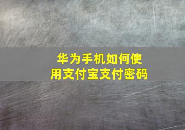 华为手机如何使用支付宝支付密码