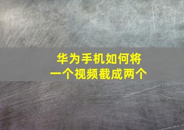 华为手机如何将一个视频截成两个