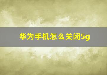 华为手机怎么关闭5g