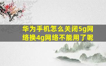 华为手机怎么关闭5g网络换4g网络不能用了呢