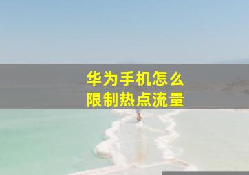 华为手机怎么限制热点流量