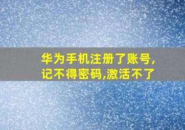 华为手机注册了账号,记不得密码,激活不了